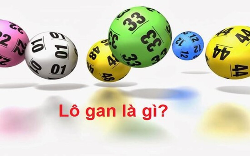 Lô gan miền bắc là gì